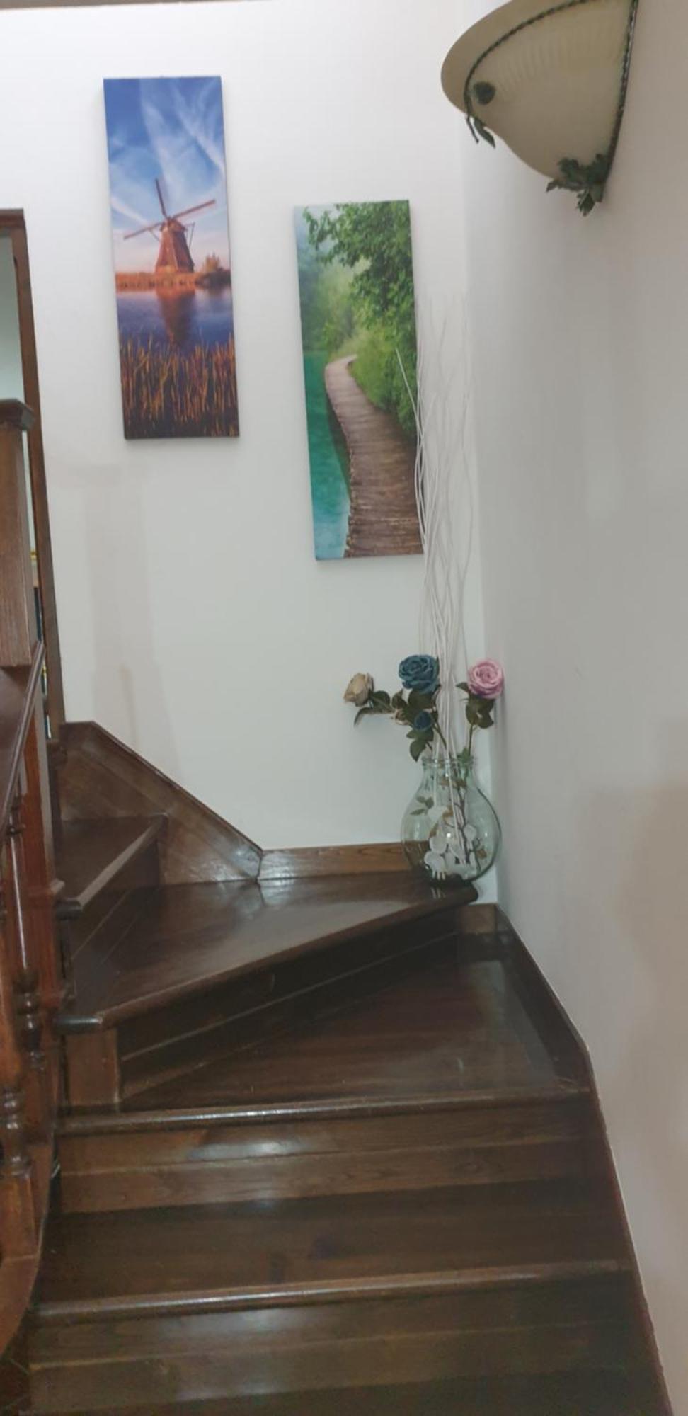 Casa Vacanze Lulu Camaiore Εξωτερικό φωτογραφία